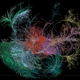 Image for article titled This Is the First Detailed Map of a Mammal's Neural Network